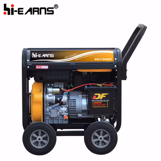 8kw 10kVA Open Frame Type Portable Air Cooled Diesel Generator Factory Price (DG11000E3)